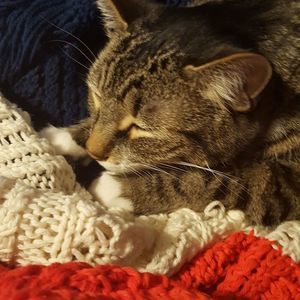 Meet your Posher, Leslie